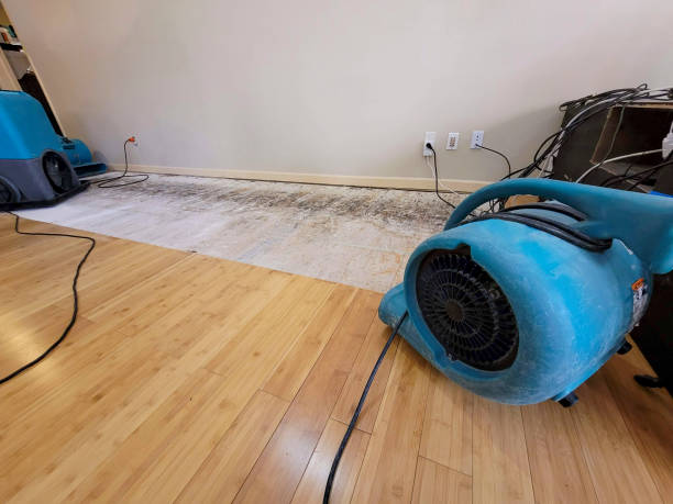 Professional Water Removal technician working in Glasgow, DE